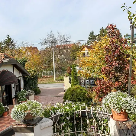 Apartment Stasea *